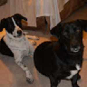 Meet your Posher, Britt